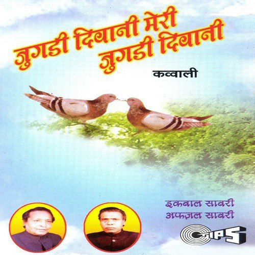 Jugdi Deewani Teri