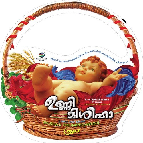 Paalnilaavu
