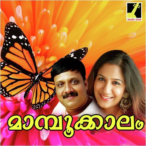 Ponnani Puzhayude