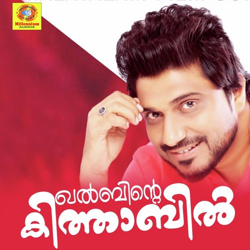 Palanu Thenannu