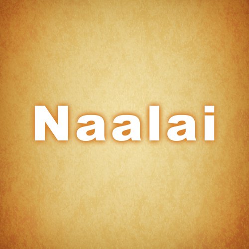 Idi Mayalogam