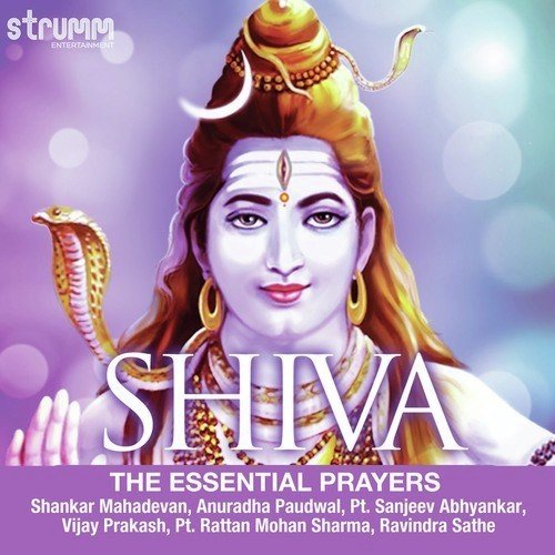 Shiv Tandav Stotra