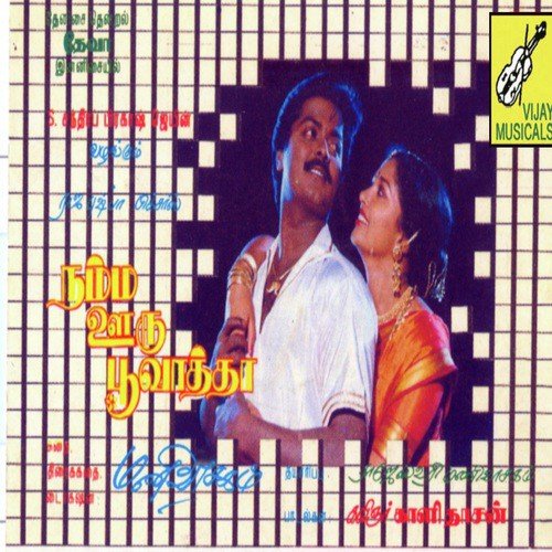 Chinna Chinna Poove