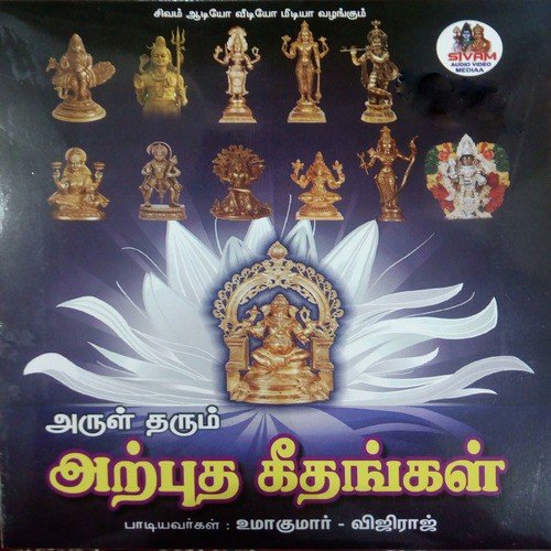 Navasalapuri Aalum