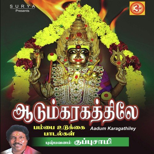 Pambai Udukkai Instrumental