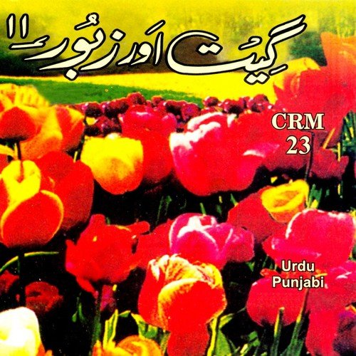 Misal E Masih Nasri Hum