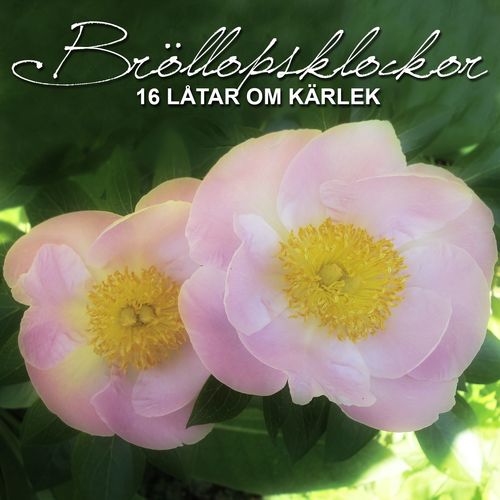 Vill du bli min (We Just Cant Win)